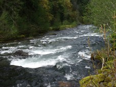 Pristine mountain river flowing through land