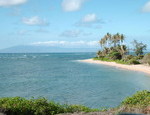 An earthly paradise