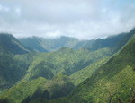 An earthly paradise