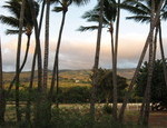 An earthly paradise