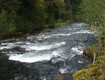 Pristine mountain river flowing through land
